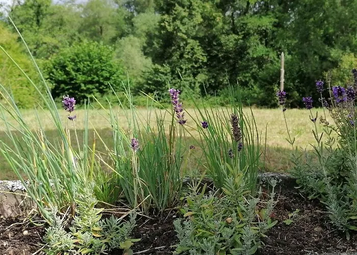 Vakantiehuis Gluecksmomente